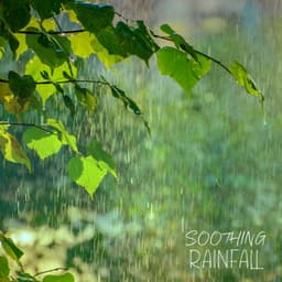 Soothing Rainfall: Relax and Breathe - Sleep Rain
