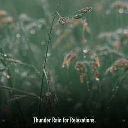 !!!!" Thunder Rain for Relaxations "!!!! - Sonidos De Truenos y Lluvia