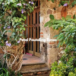 Petal Pounding Tunes - Acoustic Cafe Music