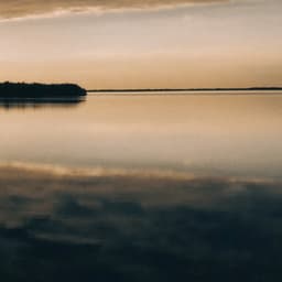 1 Night With White Noise: Becalmed - Focus Noise