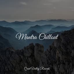 Mantra Chillout - Soothing White Noise for Infant Sleeping and Massage