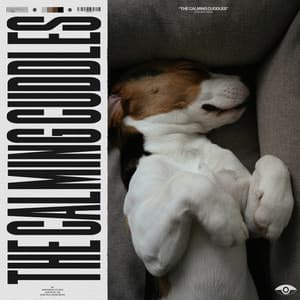 The Calming Cuddles - Music for Sleeping Puppies