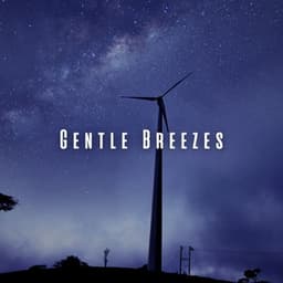Gentle Breezes: Serene Wind ASMR for a Blissful Escape - Wind Chimes Sounds