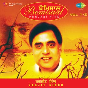 Bemisaal Punjabi Hits, Vol. 1 & 2 - Jagjit Singh