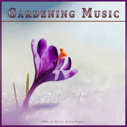 Gardening Music: 432Hz for Healthy, Growing Plants - Music for Plants