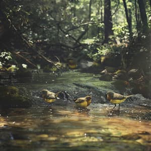 Binaural Nature Serenade: Creek Sounds for Baby's Sleep - Baby Dream