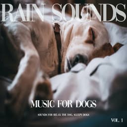 Music for Dogs - Rain Sounds for your Dog, Vol. 1 - Sounds for Relax the Dog