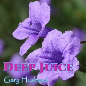 Deep Juice - Gary Husband