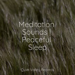 Meditation Sounds | Peaceful Sleep - Echoes Of Nature