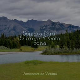 Sonidos Para Relajarse Y Gota Sana - Sonidos de la Naturaleza Relax