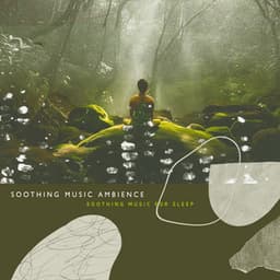Soothing Music Ambience - Soothing Music for Sleep