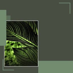 Stellar Jazz Guitar - Ambiance for Spring Rest - Música para Estudiar Playlists