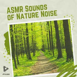 ASMR Sounds of Nature Noise - #Calming