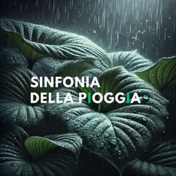 Sinfonia della pioggia: Giornata di consapevolezza dello stress con i suoni della pioggia - Pioggia Nocturna