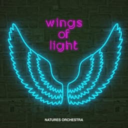 Wings of Light - Natures Orchestra