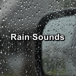 Rain Sounds - Rain Spa