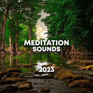 Meditation Sounds 2023 - ASMR Rain Sounds