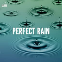 Perfect Rain - Rain Sounds Lab