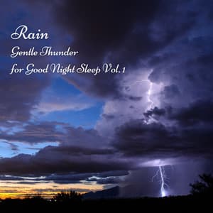 Rain: Gentle Thunder for Good Night Sleep Vol. 1 - Sleep Music