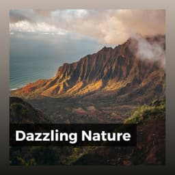 Dazzling Nature - Cricket Sounds