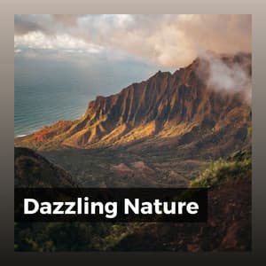 Dazzling Nature - Cricket Sounds