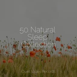 50 Natural Sleep Collection - FX & Effects