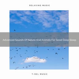 Advanced Sounds Of Nature And Animals For Good Deep Sleep - Nature Sound Series