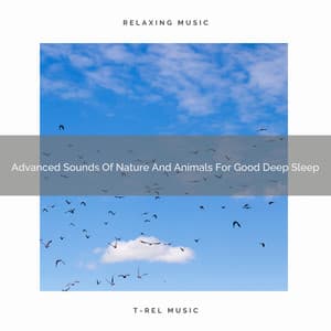 Advanced Sounds Of Nature And Animals For Good Deep Sleep - Nature Sound Series