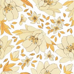 Casual Jazz Violin - Ambiance for Relaxed June Nites - Cafe Hintergrundmusik International