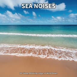 #1 Sea Noises for Sleep, Relaxing, Yoga, to Wind Down - Ocean Sounds Collection