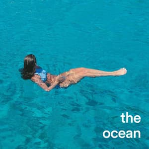 The Ocean - Sea Waves Sounds