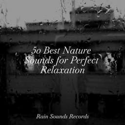 50 Best Nature Sounds for Perfect Relaxation - Canciones De Cuna
