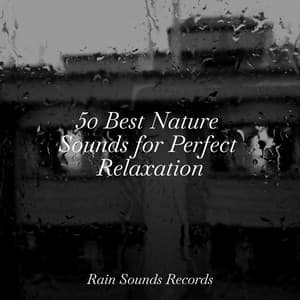 50 Best Nature Sounds for Perfect Relaxation - Canciones De Cuna