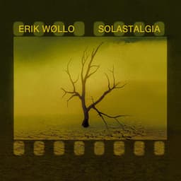 Solastalgia - Erik Wøllo