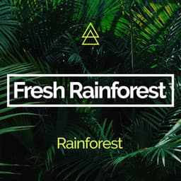 Fresh Rainforest - Rainforest