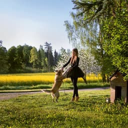 Nelgid - Vaiko Eplik