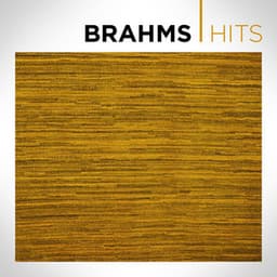 Brahms Hits - Johannes Brahms