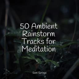 50 Ambient Rainstorm Tracks for Meditation - Meditation Music Club