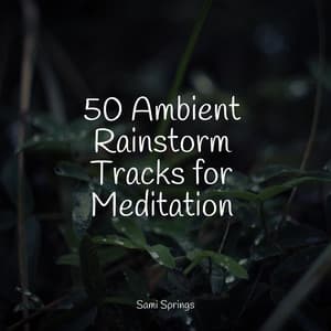 50 Ambient Rainstorm Tracks for Meditation - Meditation Music Club