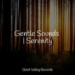 Gentle Sounds | Serenity - Rain Sounds Factory STHLM