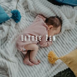 Little Zen: Meditative Music for Baby's Relaxation - Relaxing Mindfulness Meditation Relaxation Maestro