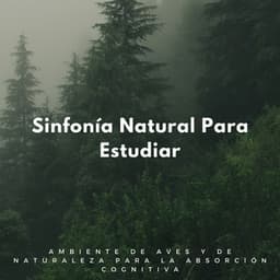 Sinfonía Natural Para Estudiar: Ambiente De Aves Y De Naturaleza Para La Absorción Cognitiva - Pájaros Escandinavos