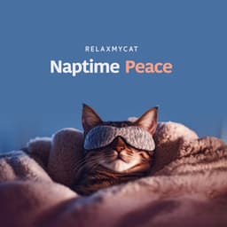 Naptime Peace - RelaxMyCat