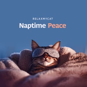 Naptime Peace - RelaxMyCat