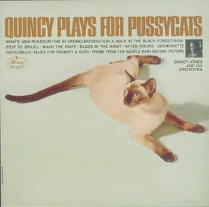 Quincy Plays For Pussycats - Quincy Jones