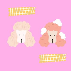 Backdrop for Puppy Blues - Alto Sax - Relaxing Music for Dogs