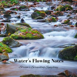 Water's Flowing Notes: Stream's Serenading Symphony - Aurise
