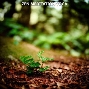 Zen Meditation Yoga Enlightenment No. 3 - Meditationsmusik