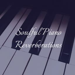 Soulful Piano Reverberations - Moonlight Sonata