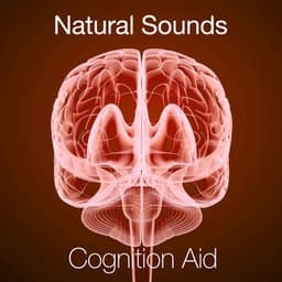 Natural Sounds - Cognition Aid - Exam Study Nature Music Nature Sounds